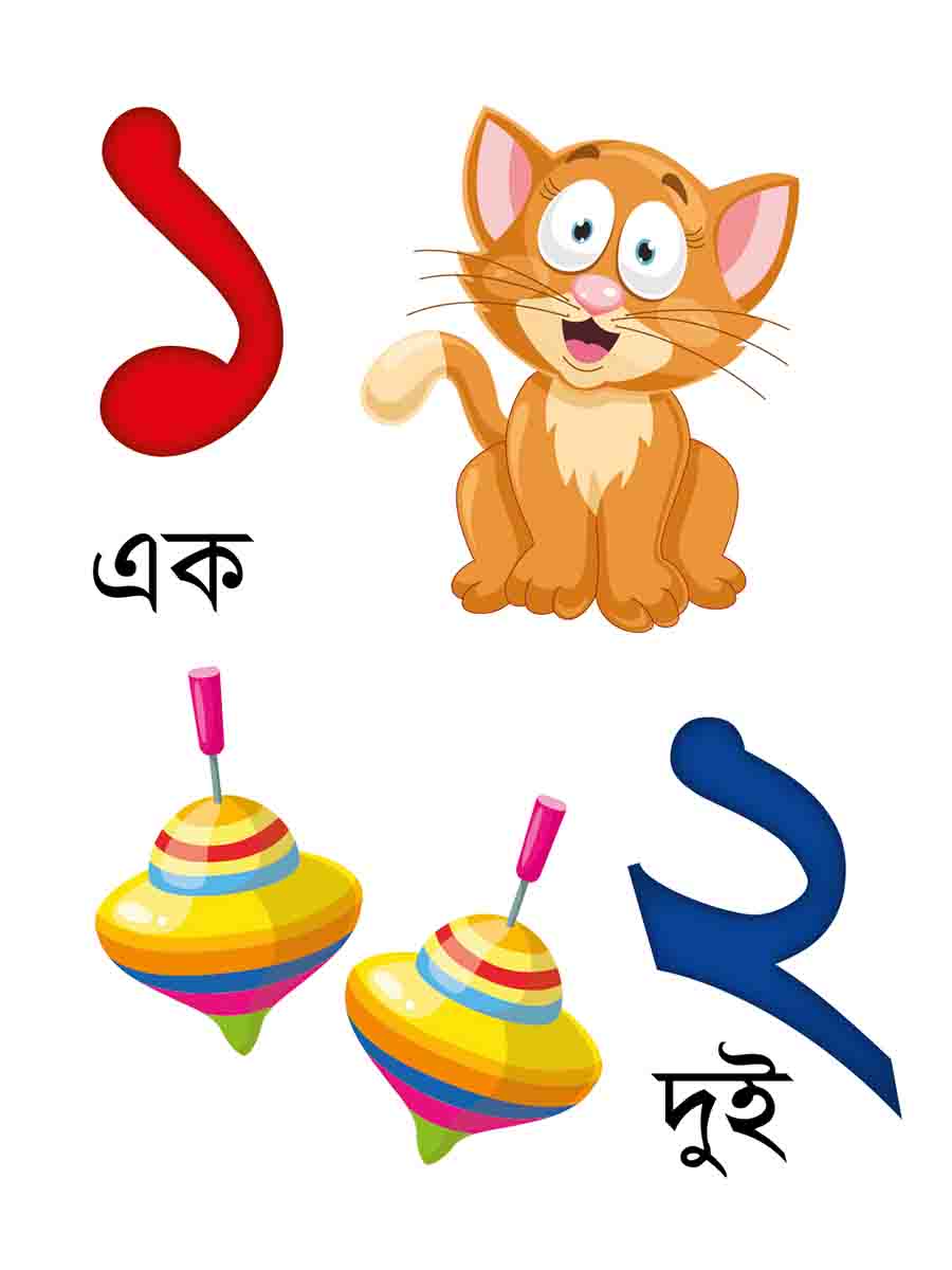 ৩৮টি বইয়ের জ্ঞানবাক্স preview