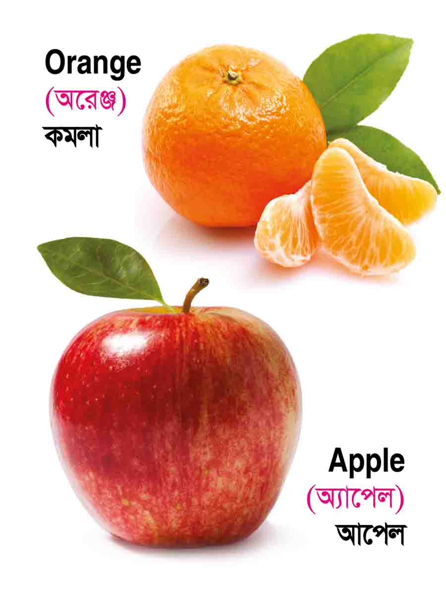 ৩৮টি বইয়ের জ্ঞানবাক্স preview