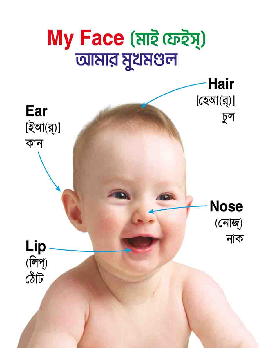 ৩৮টি বইয়ের জ্ঞানবাক্স preview