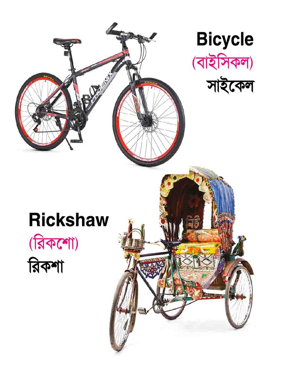 ৩৮টি বইয়ের জ্ঞানবাক্স preview