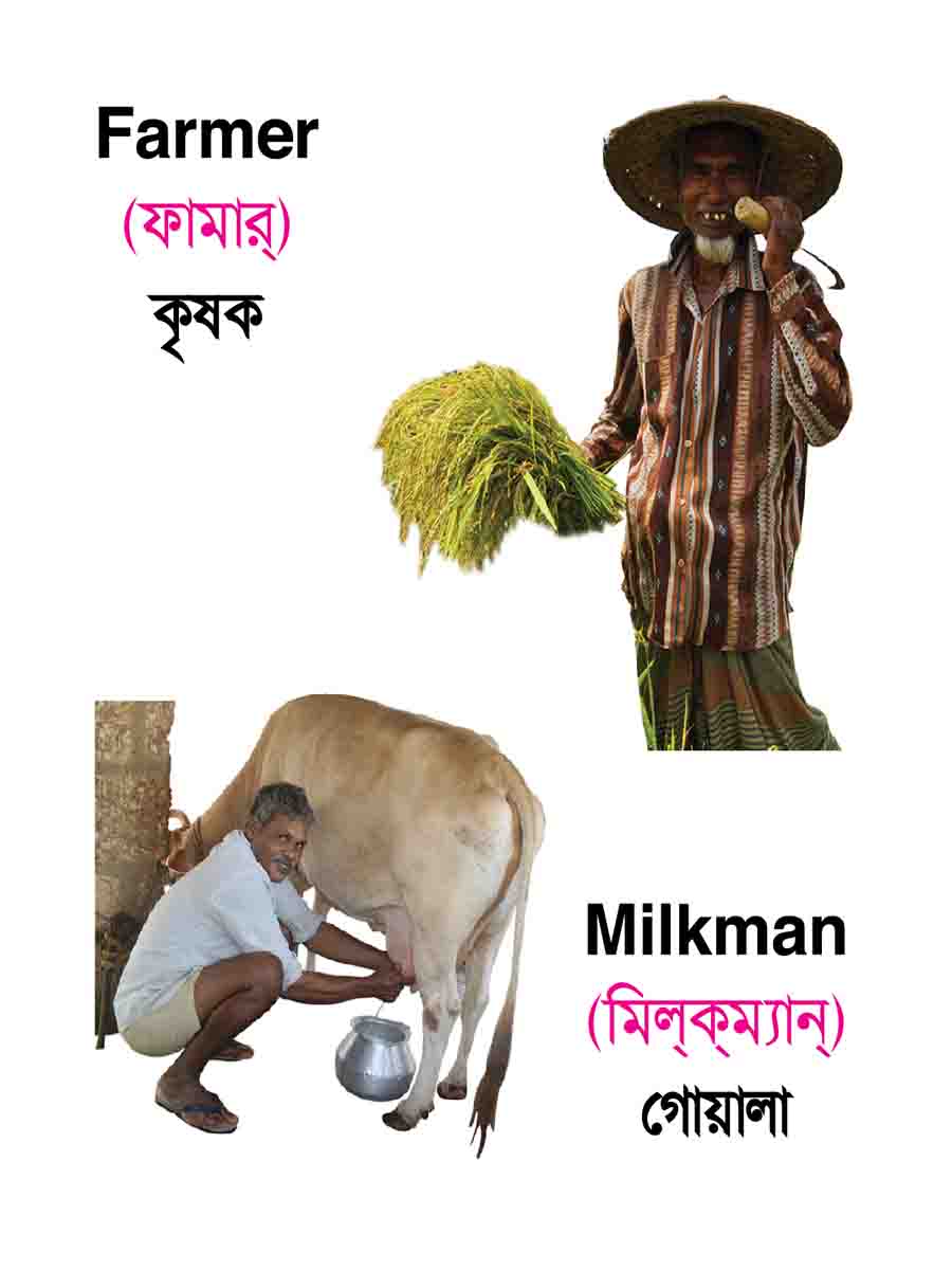 ৩৮টি বইয়ের জ্ঞানবাক্স preview