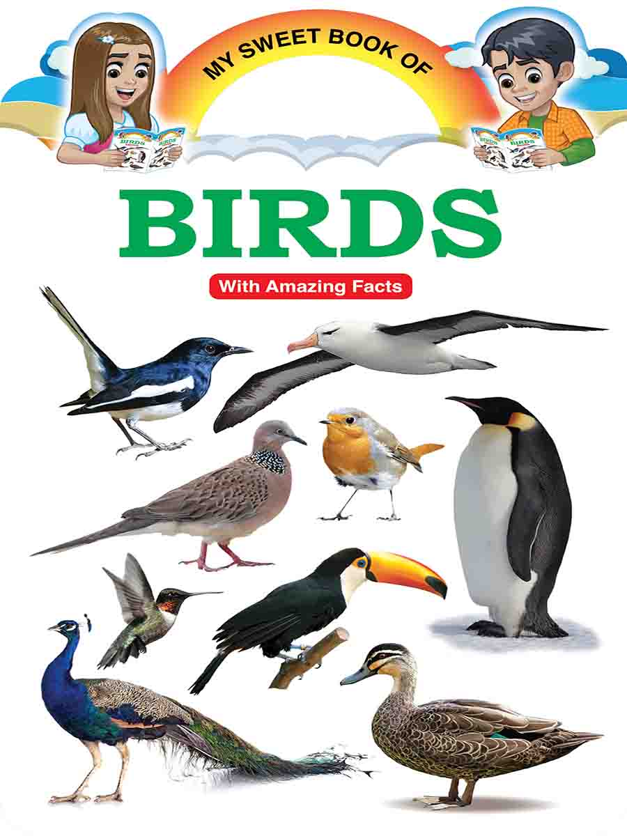 Picture Word Book Series preview