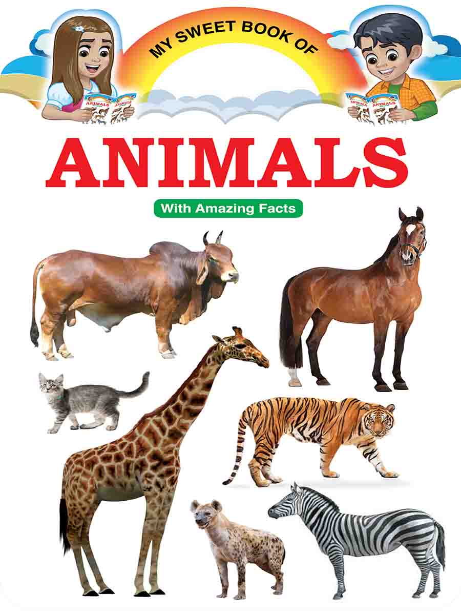 Picture Word Book Series preview