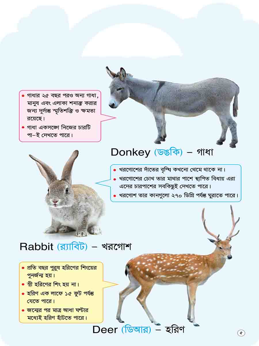 Picture Word Book Series preview
