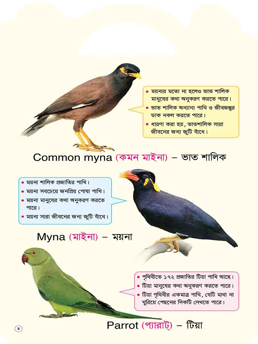 Picture Word Book Series preview