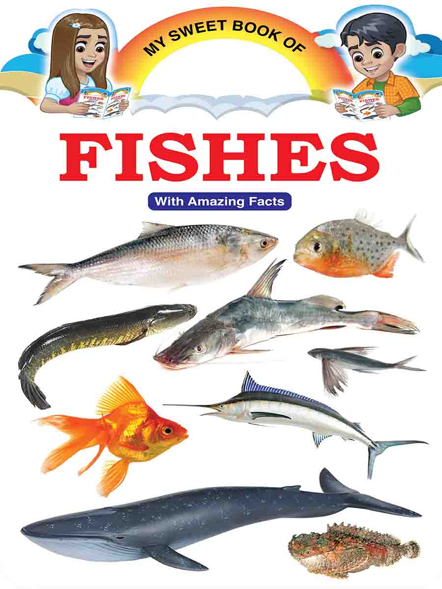 Picture Word Book Series preview
