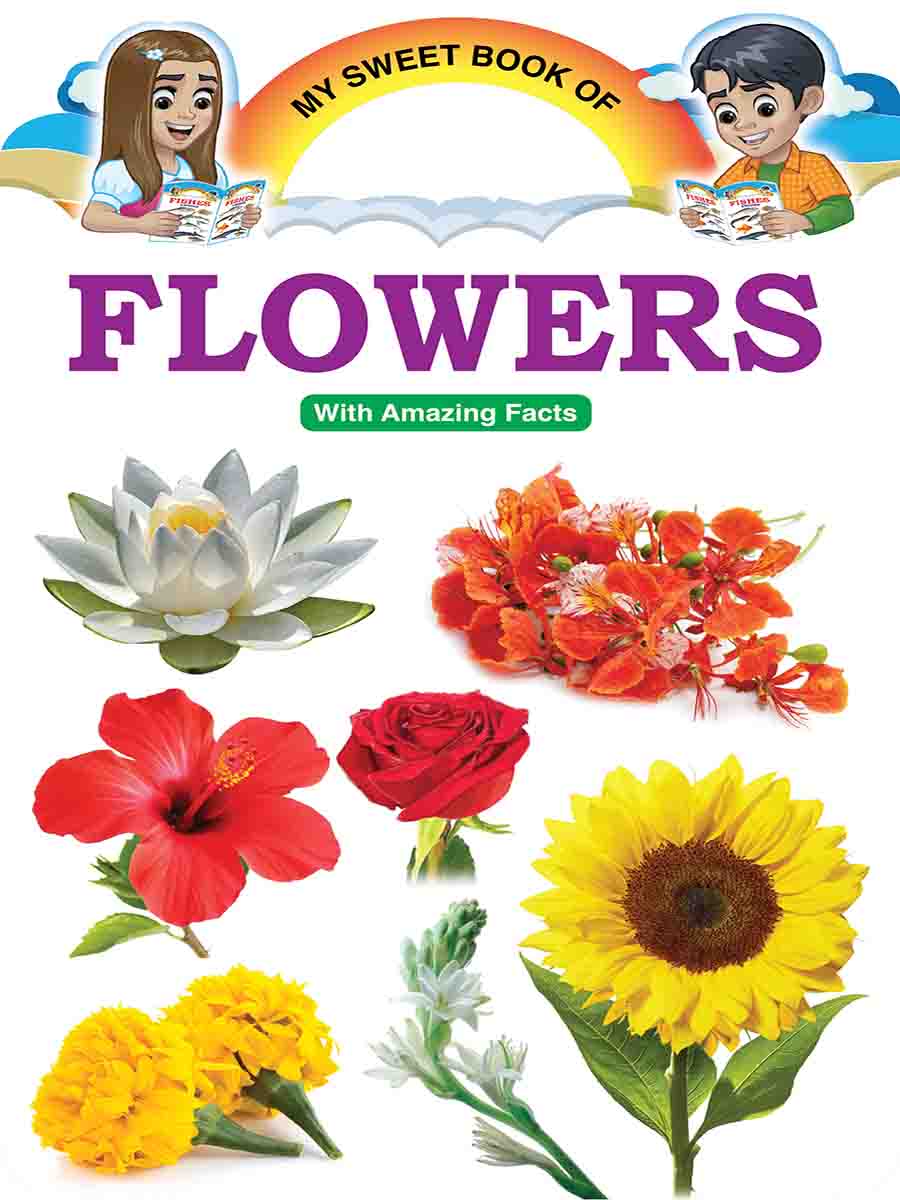 Picture Word Book Series preview