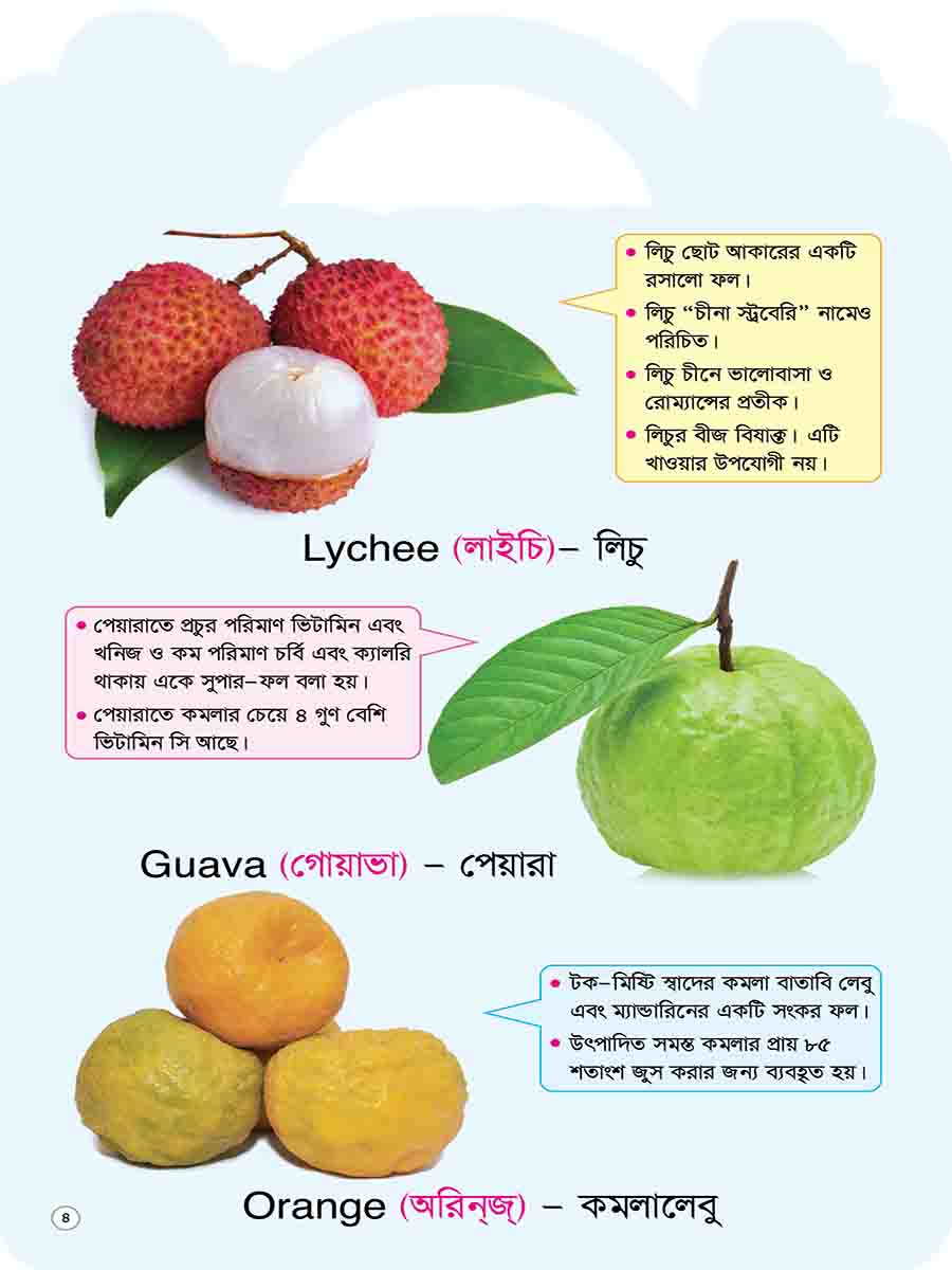 Picture Word Book Series preview