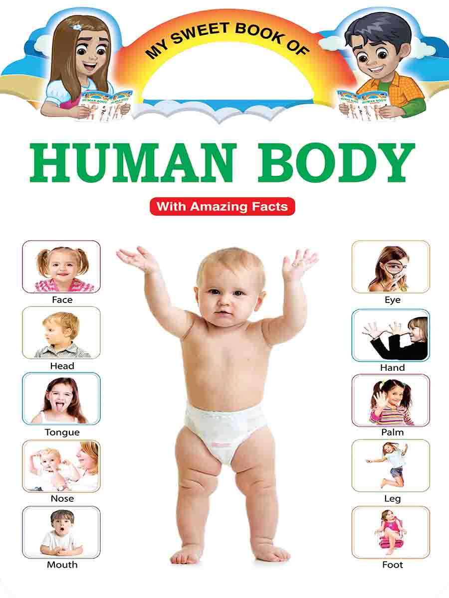 Picture Word Book Series preview