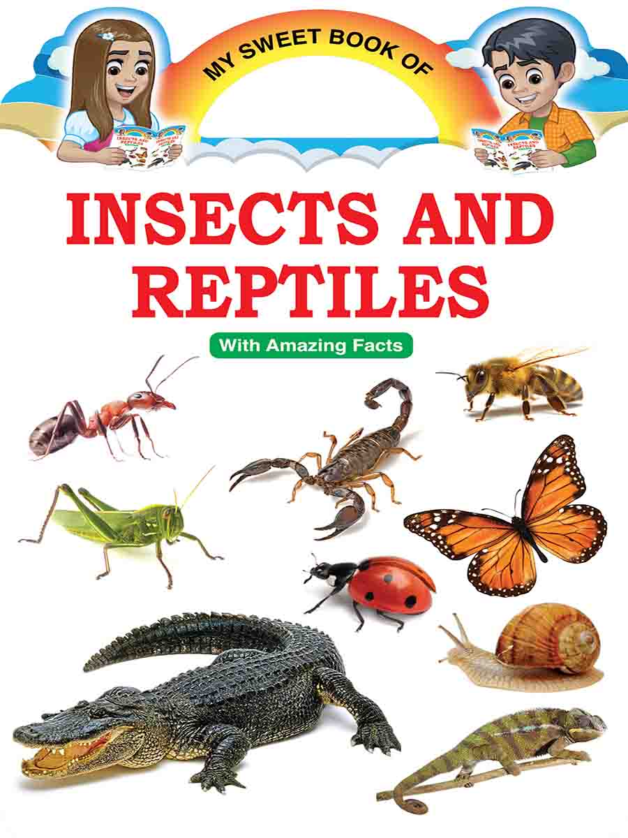 Picture Word Book Series preview