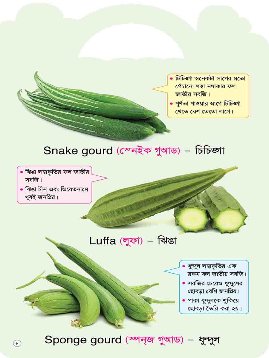Picture Word Book Series preview